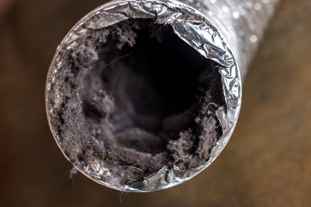 Best Commercial HVAC Duct Cleaning  in Lamar, MO